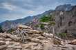 Rocks and stones in Seoraksan National Park, South Korea