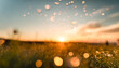 Meadow at sunset, grass, clouds, sky, water, water droplets, reflection, dawn, beautiful, view