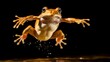 Agile flying frog mid-leap,