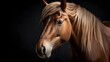 © Visual Aurora - Close-up of a sleek and sophisticated domestic horse, mane flowing