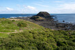 Scenery of the Nobbies on Bass Strait over clifftop on the western tip of Phillip Island. A lookout with a view of the Australian natural landscape. Point Grant VIC Australia.