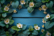 Spring floral background. Green frame of white forest flowers primrose in nature and wooden blue boards. Texture of fresh forest greenery in morning outdoors with copy space. --ar 3:2 --stylize 750
