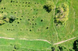 aerial top view of summer green meadow landscape with trees and walking paths.