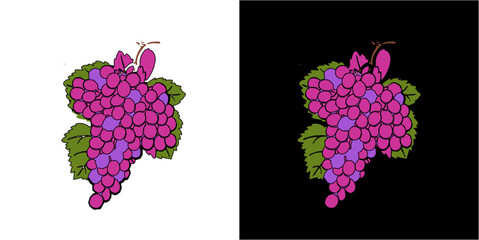 Wall Mural - grape vector