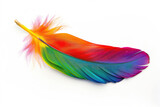 Fototapeta Kuchnia - A single colorful parrot feather with a spectrum of vibrant colors
