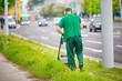 Man trimming grass and mowing along the road. Man using gasoline mower to trim grass along the street. Grass cutting work. Worker mowing lawn with grass trimmer. Worker use ear muffs, ear protection