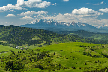 Poster - Green hills of Pieniny National Park and snowy Tatra Mountains in background in Poland