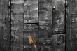 Black and white background, wooden planks, distressed texture, dark gray tone. Created with Ai