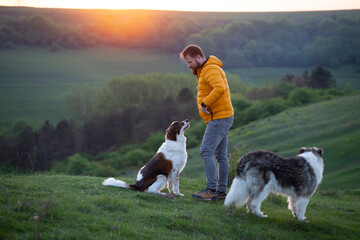 Sticker - Happy dog and man playing outdoor