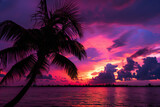 Fototapeta Zachód słońca - vibrant sunset at beach with palm tree silhoette