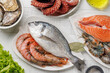 Seafood Platter Delight: Shrimps, Salmon, Oysters Galore