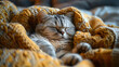 A sleepy Scottish Fold cat, with a cozy blanket fort as the background, during a lazy Sunday morning