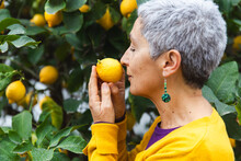 Senior Woman Smelling Lemons In Garden
