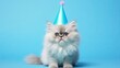 A charming Persian kitten gazes curiously while sporting a shiny blue party hat, set against a soothing pastel blue background, ready to celebrate