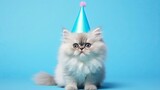Fototapeta Do pokoju - A charming Persian kitten gazes curiously while sporting a shiny blue party hat, set against a soothing pastel blue background, ready to celebrate