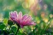 Dawn's Delicate Embrace: A Pink Blossom Jeweled with Dewdrops - Generative AI