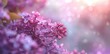 Enchanted Lilacs: A Symphony of Purple Hues and Soft Light - Generative AI
