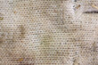 The texture of dirty light fabric in close-up