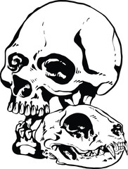 Wall Mural - Human and cat skull animal lovers tattoo idea vector art black and white