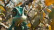   A tight shot of a chameleon perched on a tree branch, surrounded by foreground leaves, and a backdrop subtly blurred