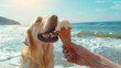 Golden retriever licking ice cream on a sunny beach day
