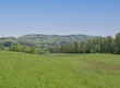 Rund um Weitenau (Steinen) im grünen Schwarzwald. Das kleine Tal mit seiner grünen Landschaft und Torfmoorfeldern zwischen der L.136 und dem Weiler Farnbuck