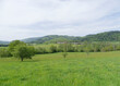 Rund um Weitenau (Steinen) im grünen Schwarzwald. Herrlicher Blick auf den Weiler Farnbuck vom Wanderweg „Am Hummleberg“
