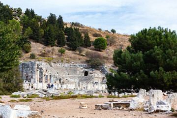 Wall Mural - Odeon in Ephesus, a small ancient theater, surrounded by scattered ruins and a pine-covered hillside. Selcuk, Izmir, Turkey (Turkiye)