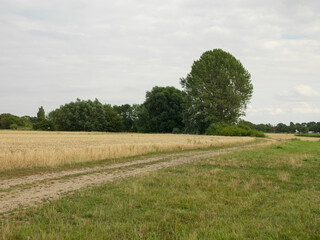 field and blue sky