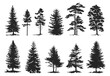 © MicroOne - Vintage isolated trees and forest black silhouettes.Vector graphic