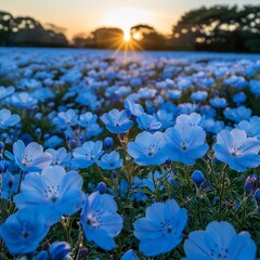 Wall Mural - flower background