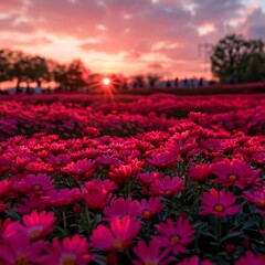 Wall Mural - flower background