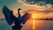   A large bird with outspread wings silhouetted against the sun over a tranquil body of water
