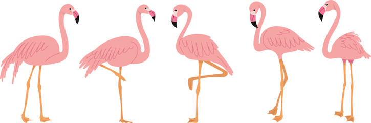 Wall Mural - pink flamingos in flat style on white background vector