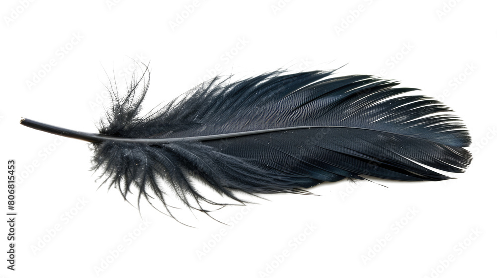 black feather isolated on white or transparent png Stock Photo | Adobe ...