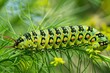 Green caterpillar on stem carrots - Papilio machaon. Beautiful simple AI generated image in 4K, unique.