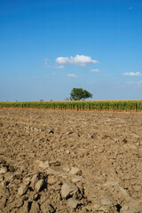 Wall Mural - Country landscape near Fiorenzuola, Emilia Romagna, Italy