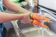 Woman hands washing fresh orange carrots in a kitchen