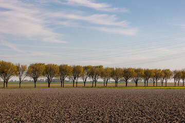 Wall Mural - Spring landscape, Typical Dutch polder land with warm sunlight in the morning, Plowed the soil on the filed for agriculture and trees with high voltage pole, Countryside of Noord Holland, Netherlands.