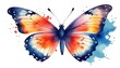 A colorful butterfly 2 (8)