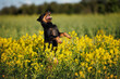 happy jagdterrier dog jumps up outdoors on a field in summer
