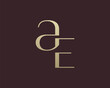 AE letter logo icon design. Classic style luxury initials monogram.