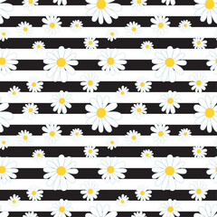 Wall Mural - Daisy flower seamless on editable background illustration. Pretty floral pattern for print. Flat design vector. Spring and summer seamless. Flowers seamless design. Cute floral print.