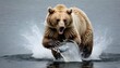 a-bear-catching-fish-with-its-powerful-claws-