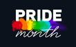LGBT Pride Month 2024 concept with rainbow flag colored brush. LGBTQIA Pride colorful wave background. Rainbow colorful brush stroke, gay pride, LGBTQ themed multiple colors.