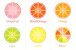 Set of Citrus fruits half sliced with text isolated on white background - vector illustration