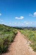 Santiago Oaks Regional Park hiking trail in the Anaheim Hills community of Orange County California.  Vertical view.