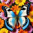 A colorful butterfly connecting nectar from vibrant flowers