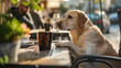 A loyal dog sitting patiently by its owner's side at an outdoor cafe, enjoying a leisurely afternoon together in the sunshine