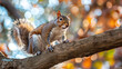 A curious squirrel perched on a tree branch, with bright eyes and bushy tail, capturing the playful and inquisitive nature of woodland creatures